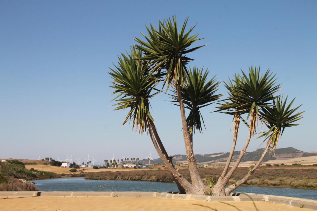 Velarde * Conil De La Frontera