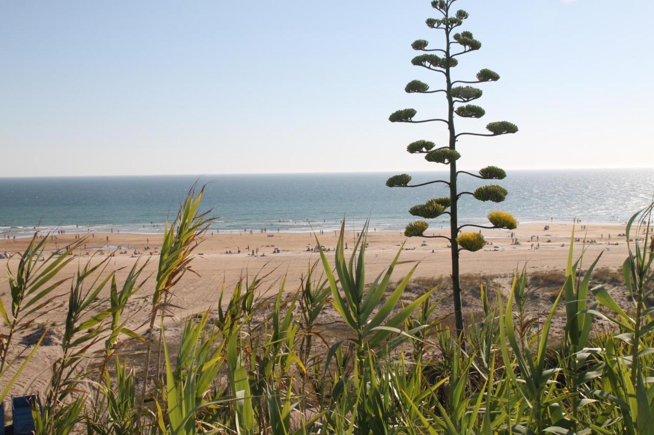 Velarde * Conil De La Frontera